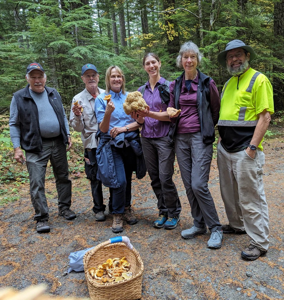 Spectacular Fall 2023 Mushroom&nbsp;Forays