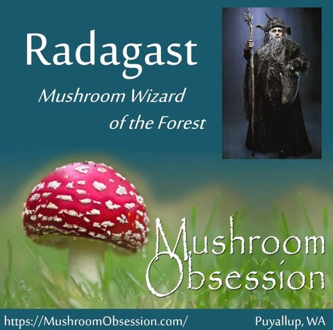 Introducing Radagast, Mushroom Wizard of the&nbsp;Forest!