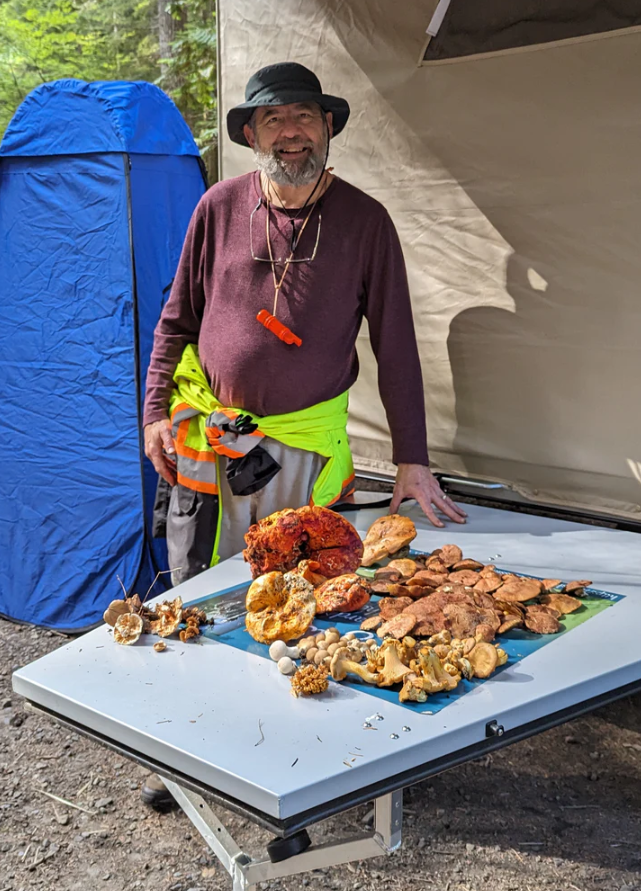 2023 Fall Mushroom Forays&nbsp;Announced