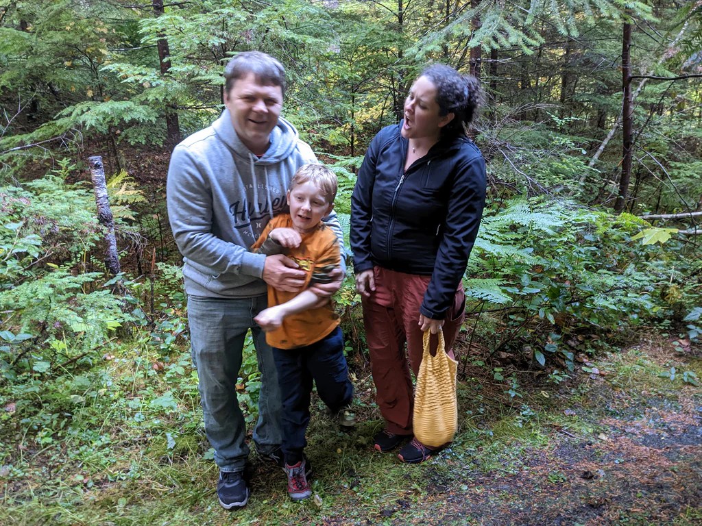 2022 Fall Mushroom&nbsp;Update